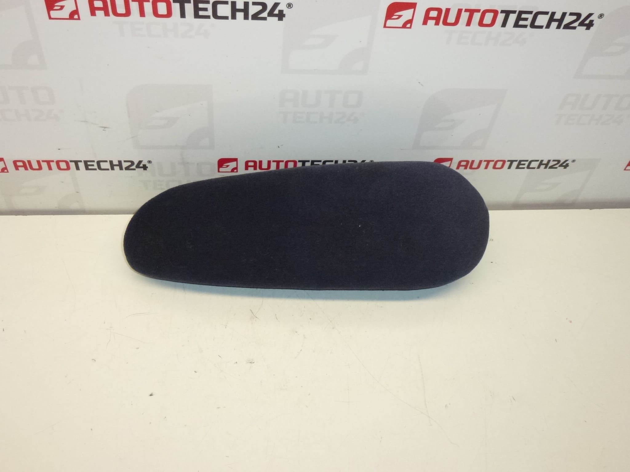 Bracciolo sinistro Citroën Peugeot 8830H4