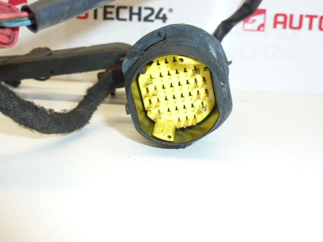 Fascicolo Iniettori Citroën Peugeot 1.4HDI 9649833780 9688063580 6558PSA - immagine 2