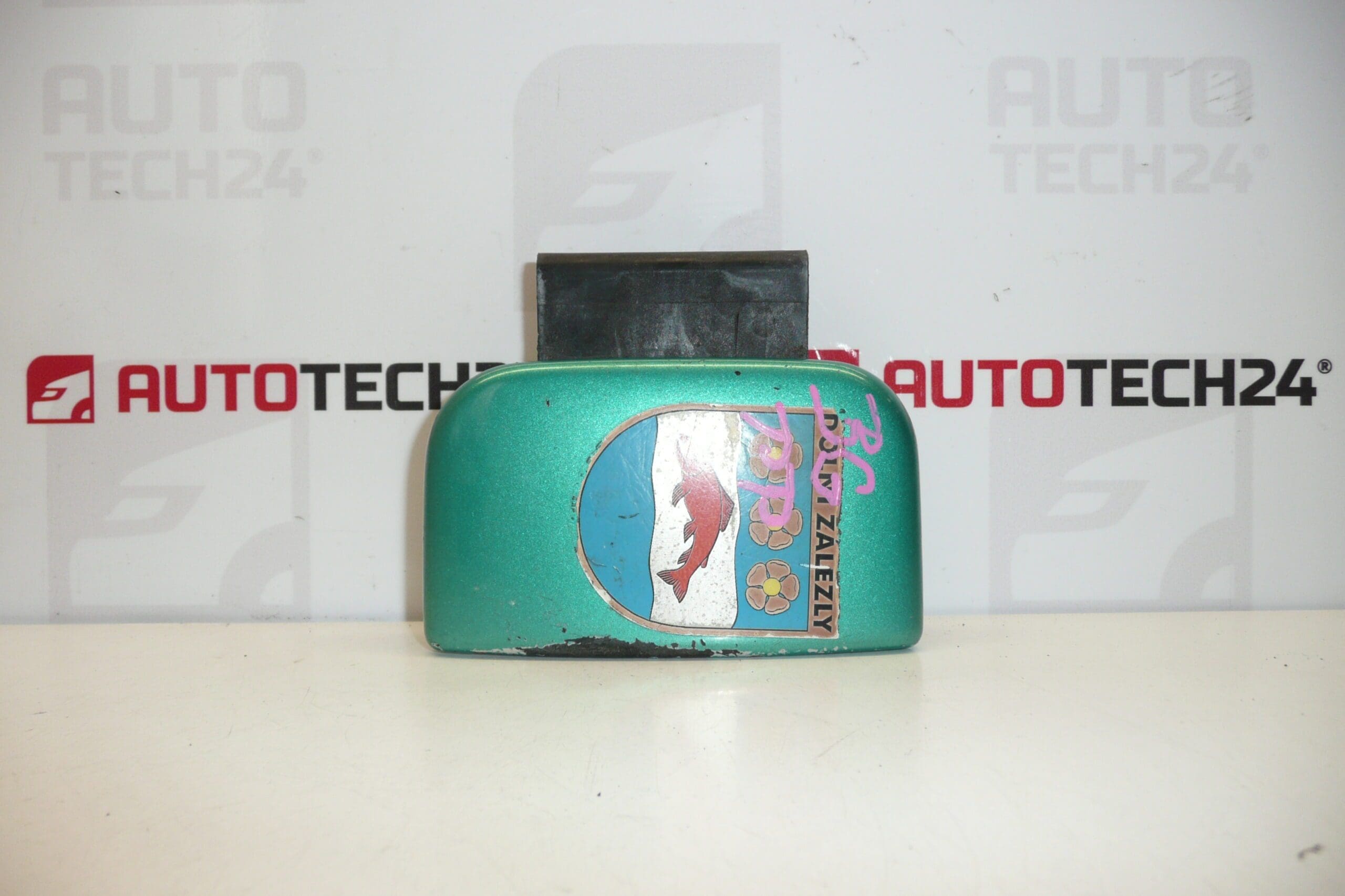 Maniglia destra Citroën Berlingo verde 9101H7