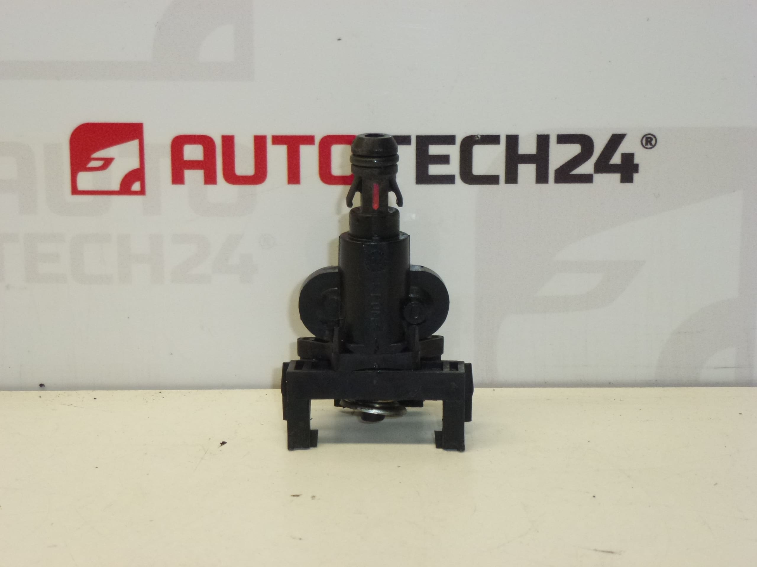 Ugello dell'Assale Citroën Peugeot 6438F5 - immagine 2