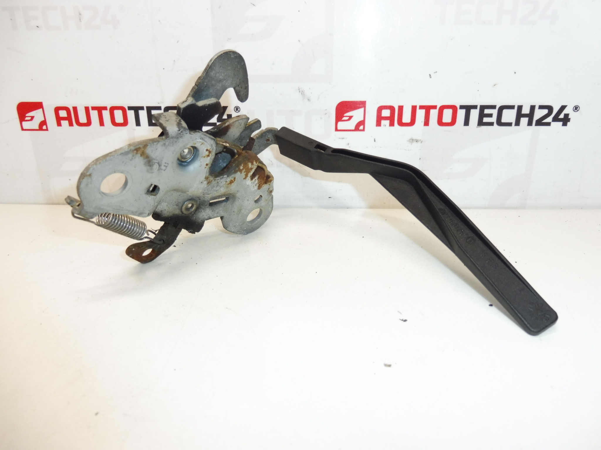 Serratura cofano motore Citroën C3 PLURIEL 793467