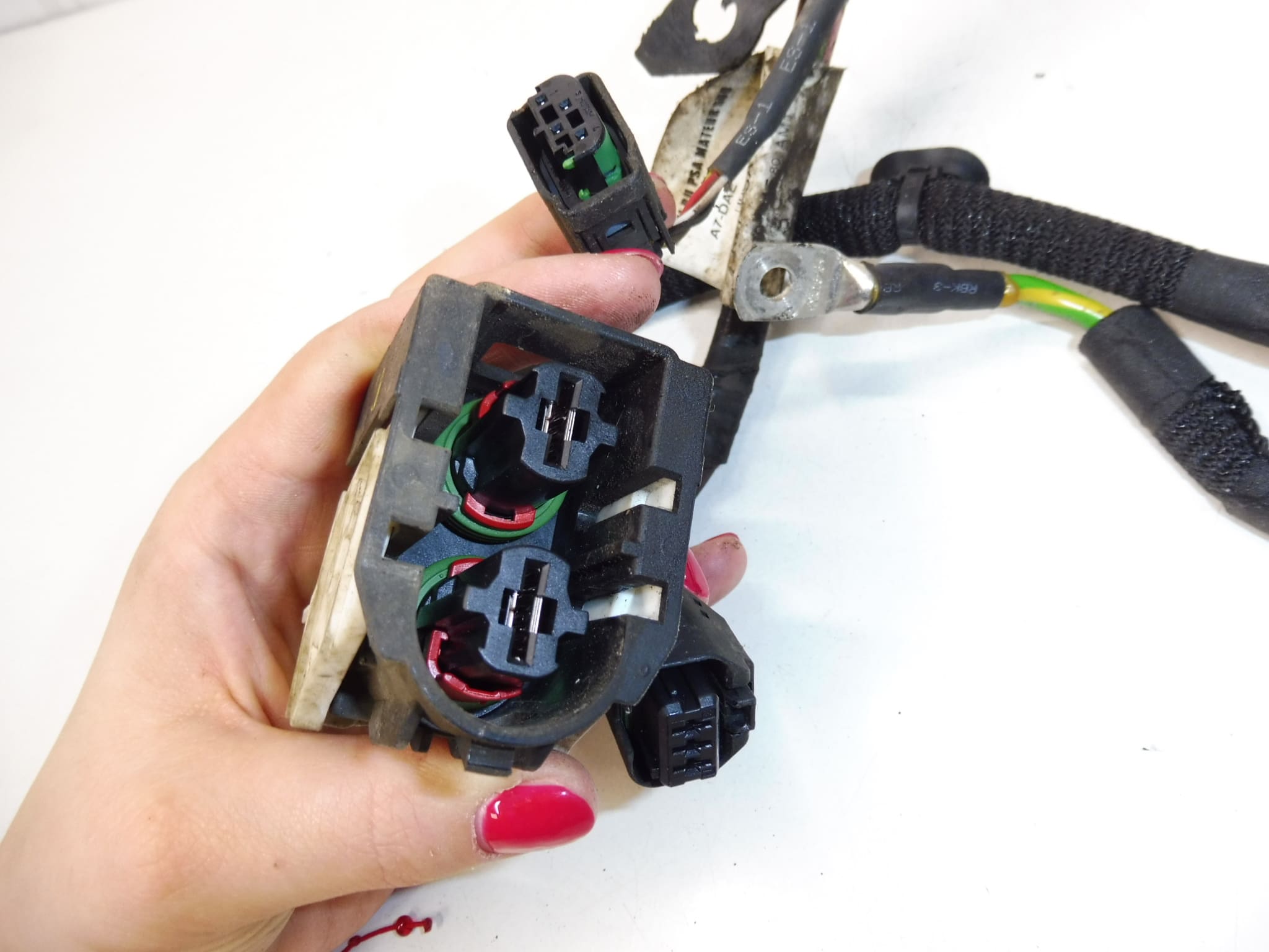 Fascicolo Del Servosterzo Citroën Peugeot 9670561580 6600AC - immagine 2