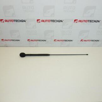 Antenna completa Citroën C3 Pluriel 6561R7 656197