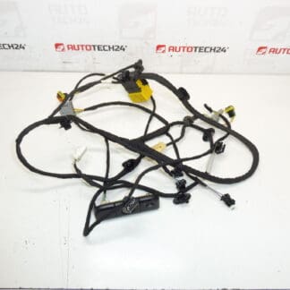 Citroen C4 Picasso Valeo 5243596 Sedile del conducente
