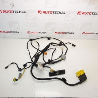 Citroen C4 Picasso Valeo 6505W3 5243586 Bundle di sedile