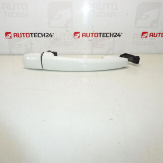 Citroën Peugeot EWBP 9101gh maniglia porta