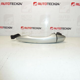 Citroën Peugeot DS EZRC 9101LW Porta della porta