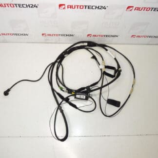 Cavo di antenna Citroën C8 Peugeot 807 1489134080 1494844080