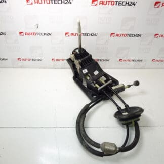 Citroën C3 DS3 Peugeot 9808161480 9837816580 Leva a turno