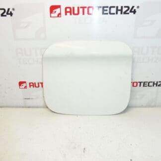 Peugeot 301 Citroen C-Eysée EWP 9677571480