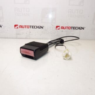 Titolare del passaporto passeggeri Peugeot 407 8973pv