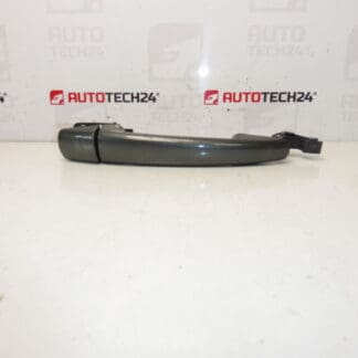 Citroën Peugeot EZQC 9101er Porta della porta