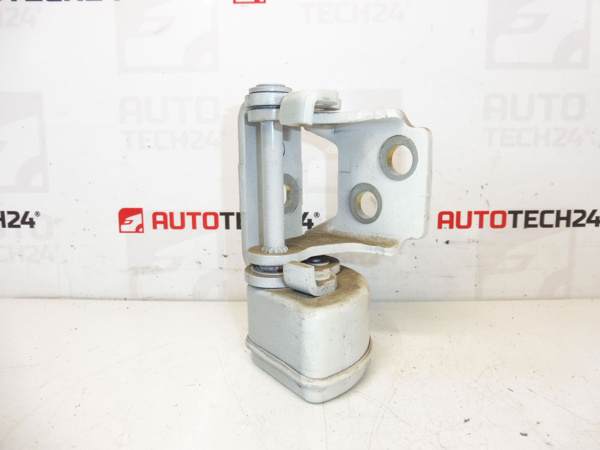 Fermare la porta posteriore destra della Peugeot EWP 207 13089480 9037C0