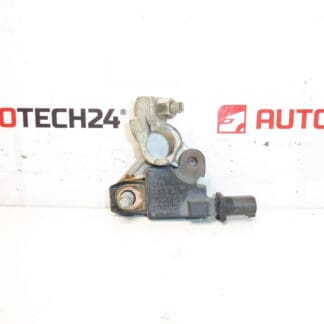 Citroën Peugeot 9666919780 unità polare negativa