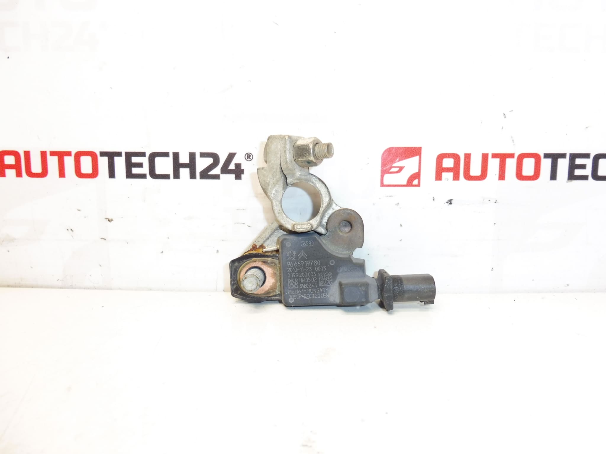Citroën Peugeot 9666919780 unità polare negativa