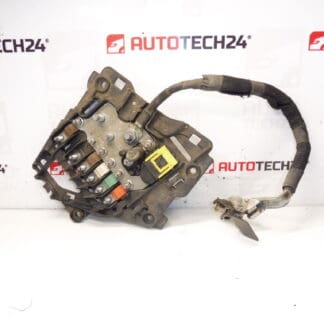 Citroën Peugeot 9675123880 Modulo fusibile