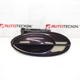 Maniglia porta posteriore sinistra Citroën C5 I e II 9631831077 9644270277 9101S7 EFBD