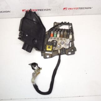 Citroën Peugeot 9801147680 66652x Modulo fusibile