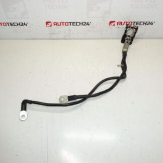 Un pacchetto positivo per la batteria Citroën Peugeot 161229980