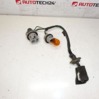 Lampada da back lampadina in lampadina