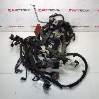 Citroën Peugeot 1.6 HDI 9664716180 6569PZ