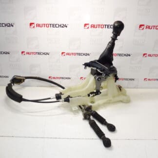 Funivie con set di cambio Citroën Peugeot 2400FS 2444G