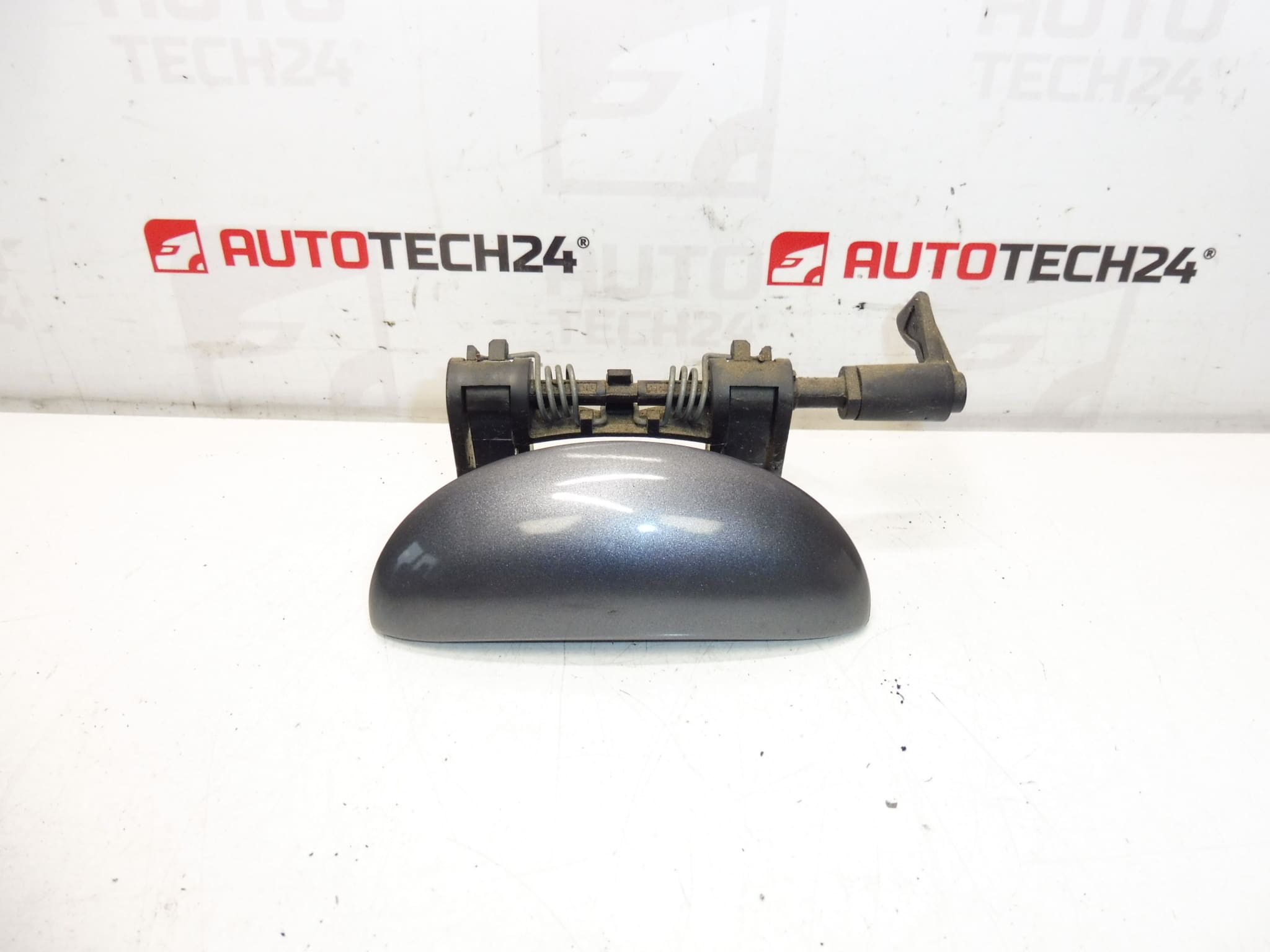 Maniglia porta posteriore sinistra Peugeot 206 206+ KGS 9101N8