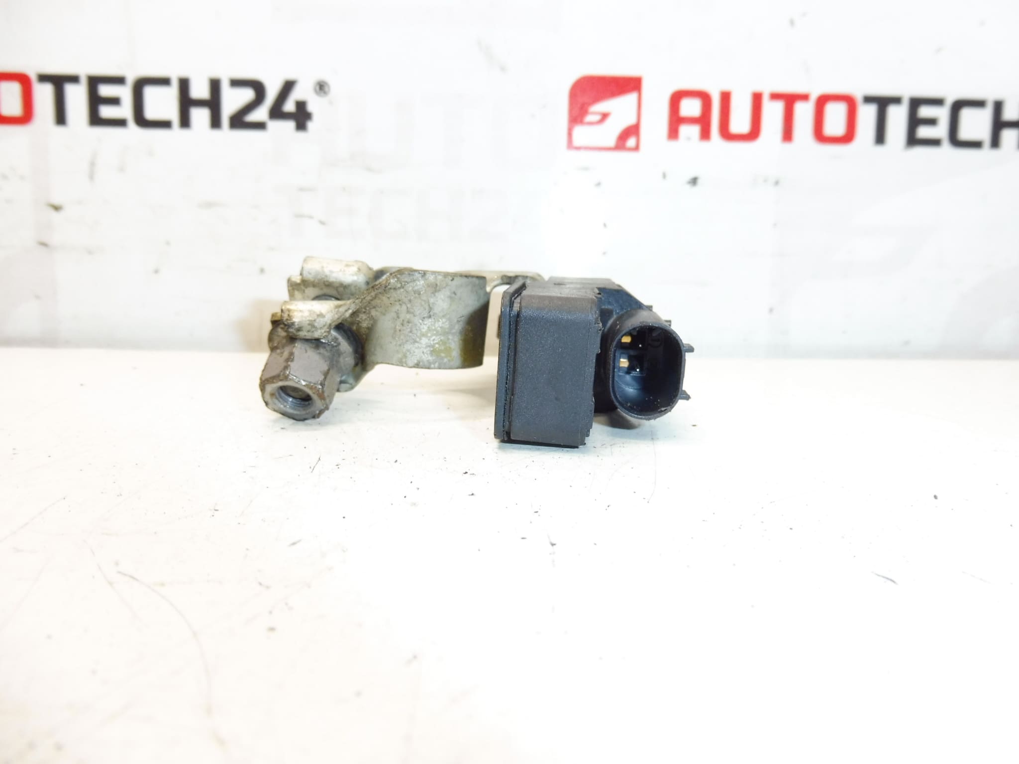 Caricabatterie Bosch Citroën Peugeot 9838135480 - immagine 2