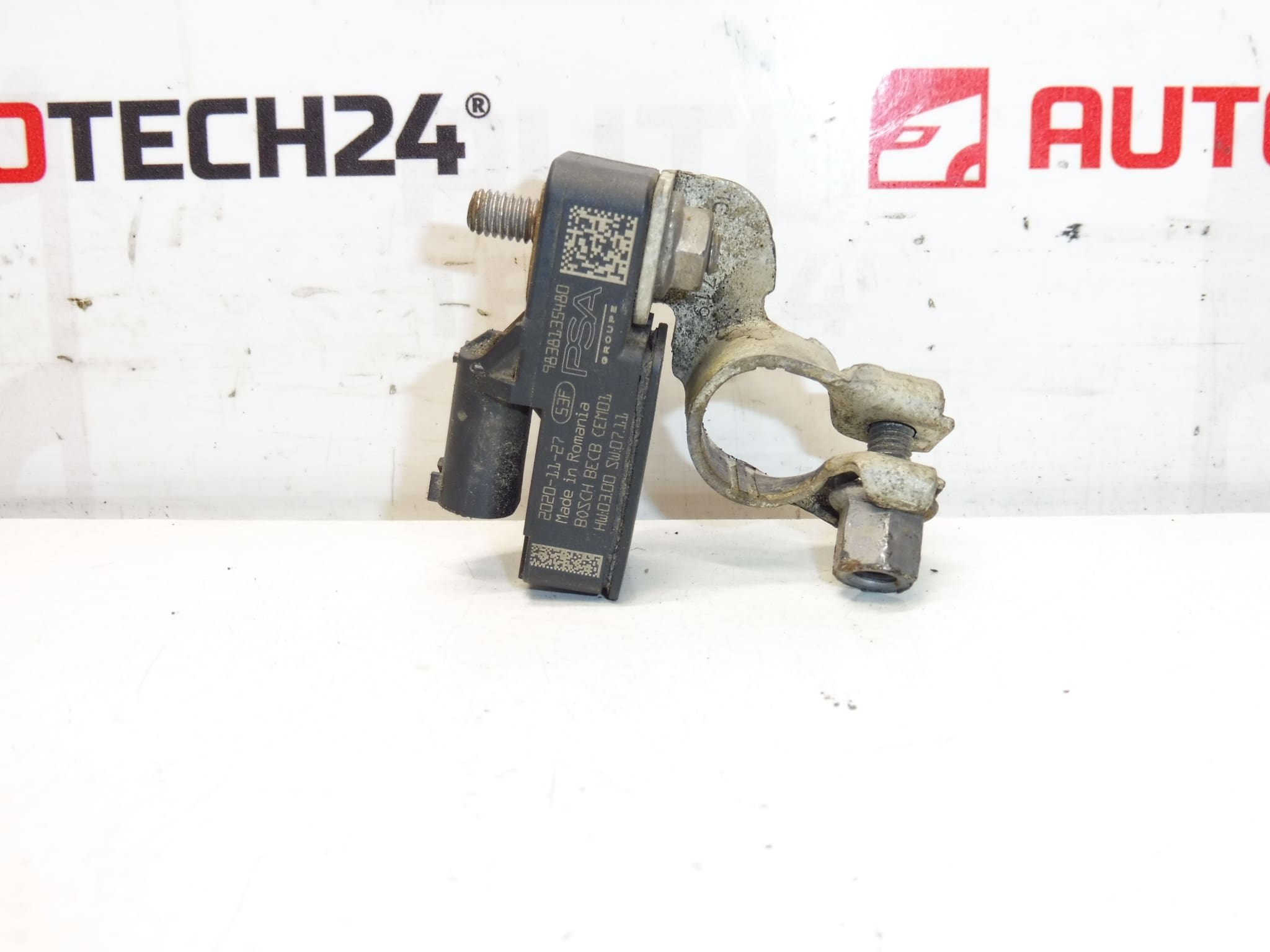 Caricabatterie Bosch Citroën Peugeot 9838135480