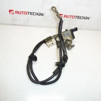 Cavo polo negativo Citroën Peugeot 2.0HDI 9672544480 9666488380
