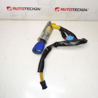 Scatola interruttore Peugeot 206 1 chiave 4162Z1