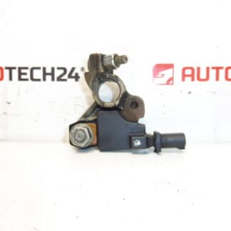 Unità Citroën Peugeot 9676592080 9802043480 6500KT