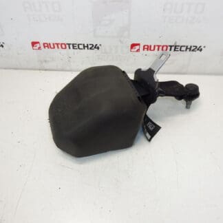 Cintura di sicurezza posteriore Citroen C3 II A51 DS3 98019948XX