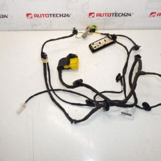 Citroen C4 Picasso 6505V3 Imbracatura sedile conducente