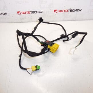 Imbracatura sedile passeggero Citroen C3 II A51 1608078780