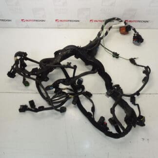 Cablaggio motore Citroën Peugeot 2.0HDI RHE 9670135380 658556