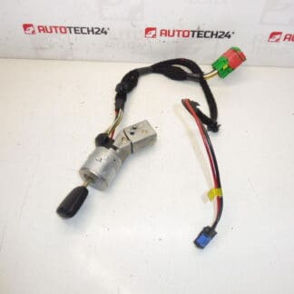 Centralina 1 chiave Peugeot 307 4162AS