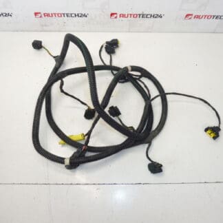 Fendinebbia anteriore e cablaggio sensore Citroen C4 Picasso 9663255080 6575Y2