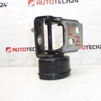 Fermo cerniera porta posteriore sinistra EXLD Peugeot 207 9037C1