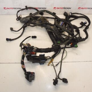 Cablaggio Citroën Peugeot 2.0HDI RHJ 9684608680 6569RY
