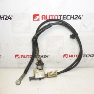 Cablaggio motore negativo Citroën Peugeot 9672183080 9666488280