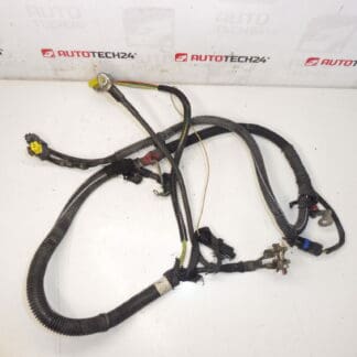 Cablaggio positivo Citroën Peugeot 2.0HDI 9658054180 5642LP