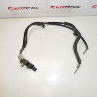Cavo polo negativo Citroën Peugeot 2.0HDI 9664067880 5638SP