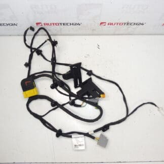 Citroen C4 Picasso Valeo Imbracatura sedile conducente 6505T6 5243566