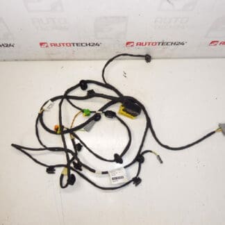 Imbracatura sedile passeggero Citroen C4 Picasso Valeo 6505W1 5243584