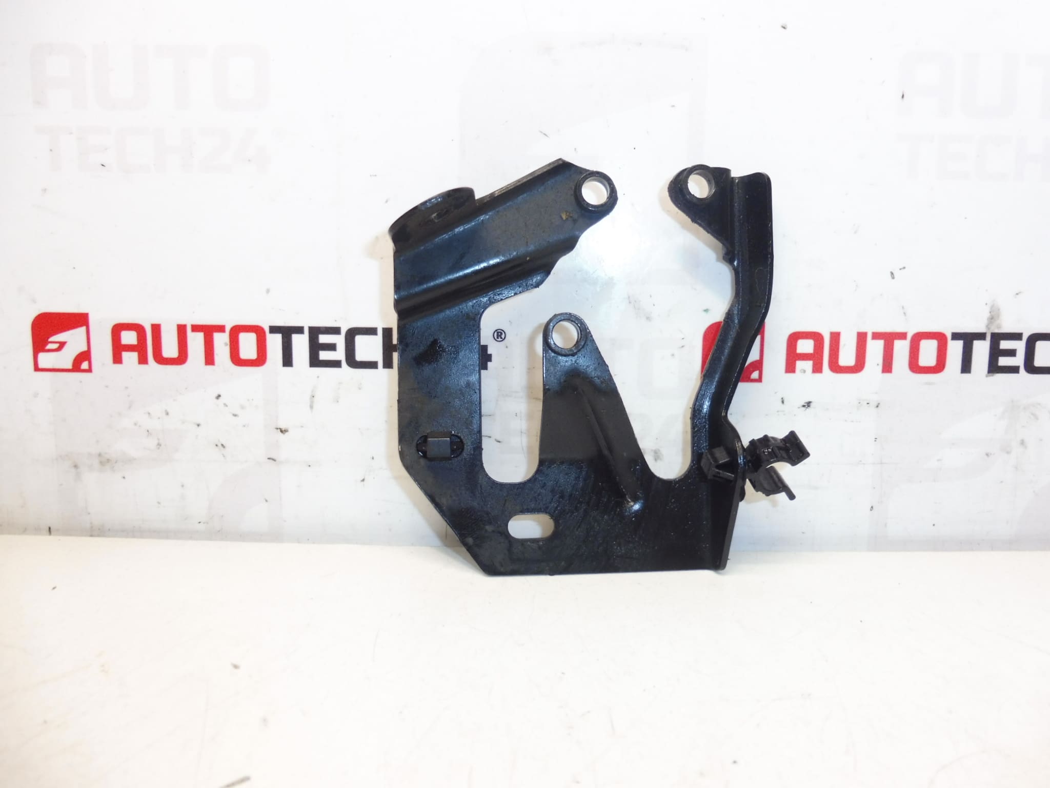 Supporto pompa iniezione posteriore 1.4 1.6 HDI 192666